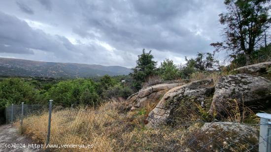 PARCELA EN SANTA CRUZ DE PINARES, (ÁVILA) 05268 - AVILA