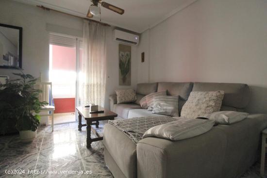 Apartamento de un dormitorio en la zona de Avenida de las Habaneras - ALICANTE