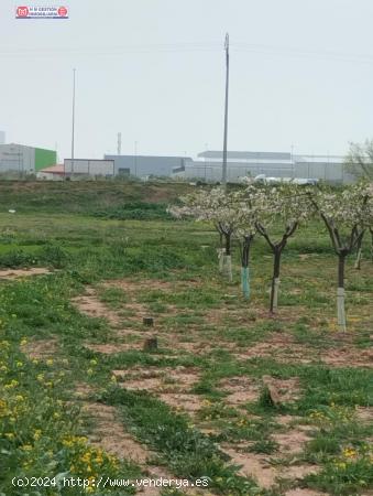  FINCA RUSTICA A 100 METROS DEL POLG. INDUSTRIAL ALCES - CIUDAD REAL 