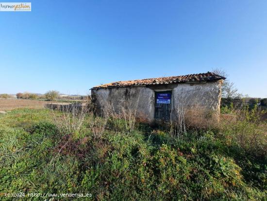  SE VENDE TERRENO RUSTICO EN TUDELA DE DUERO - VALLADOLID 