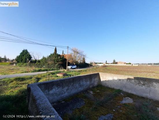 SE VENDE TERRENO RUSTICO EN TUDELA DE DUERO - VALLADOLID