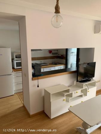  APARTAMENTO EN ZONA NUEVO CACERES - CACERES 