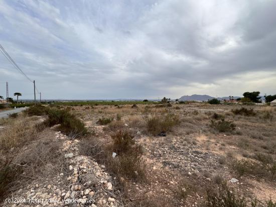 PARCELA PARA EDIFICAR UN CHALET DE 10.000M2. 60.000-€ - ALICANTE