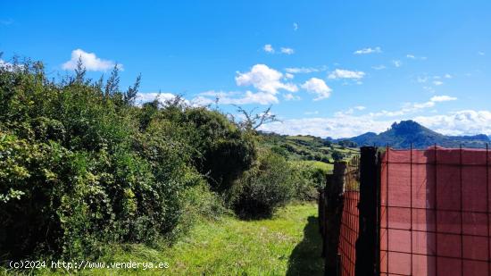 Construye tu hogar en el corazón de la naturaleza - ASTURIAS