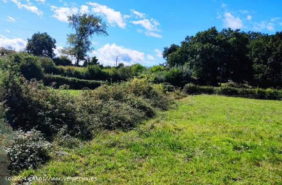 Construye tu hogar en el corazón de la naturaleza - ASTURIAS