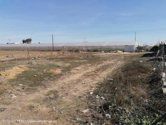  FINCA RUSTICA DE CASI 1.000 M² CON AGUA DE RED. - CADIZ 