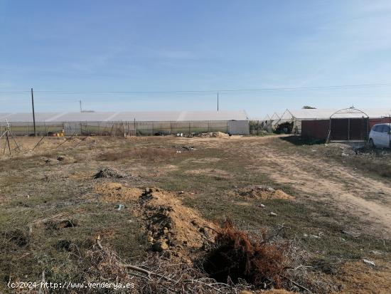 FINCA RUSTICA DE CASI 1.000 M² CON AGUA DE RED. - CADIZ