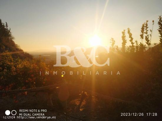 FINCA RUSTICA CON CONSTRUCION EN VENTA¡¡¡¡ - MURCIA