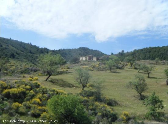 FINCA DE CULTIVO EN LA SIERRA DE ALMENARA - MURCIA