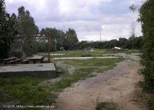  Terreno en la zona de Calarreona - MURCIA 