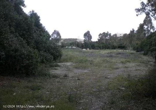 Terreno en la zona de Calarreona - MURCIA