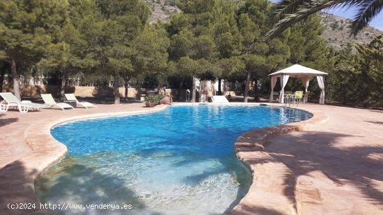 SE VENDE CHALET EN PETRER ZONA AGUARRIUS - ALICANTE