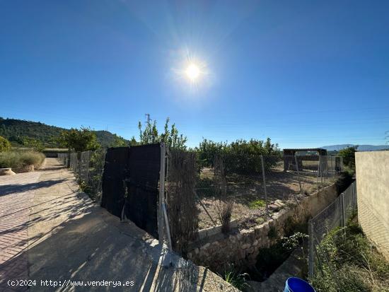 Parcela en la Huerta Abajo, el Planell, de 992 m2 hoy huerta, árboles frutales , excelente inversi