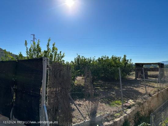 Parcela en la Huerta Abajo, el Planell, de 992 m2 hoy huerta, árboles frutales , excelente inversi