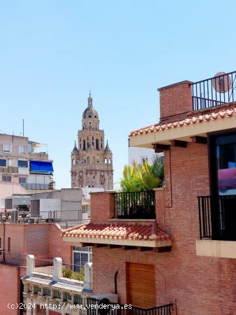 Se Alquila en Murcia - MURCIA