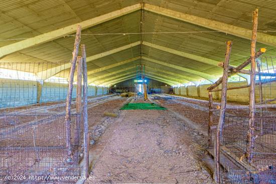 GRAN FINCA CON NAVE AGRICOLA GANADERA - GUADALAJARA