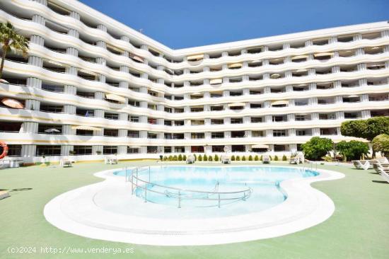 grande apartamento en Playa del ingles - LAS PALMAS