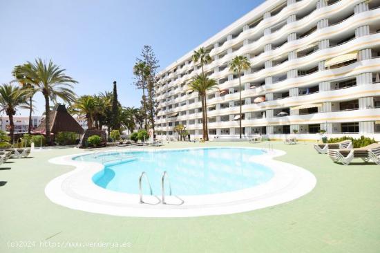 grande apartamento en Playa del ingles - LAS PALMAS