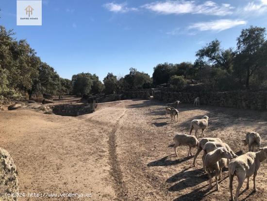 Se VENDE PARCELA CON CASAS EN ZONA TORREORGAZ. IDEAL PARA DISFRUTAR DE UN EN ENTORNO RURAL IDÍLICO 