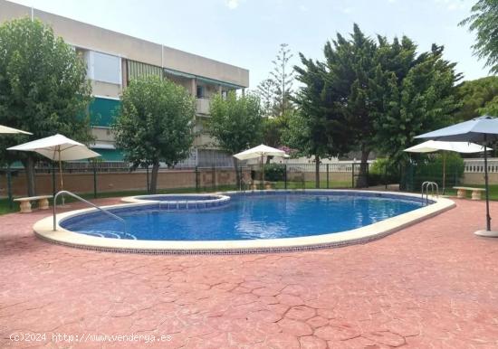 SE VENDE BONITO APARTAMENTO EN MIL PALMERAS - ALICANTE