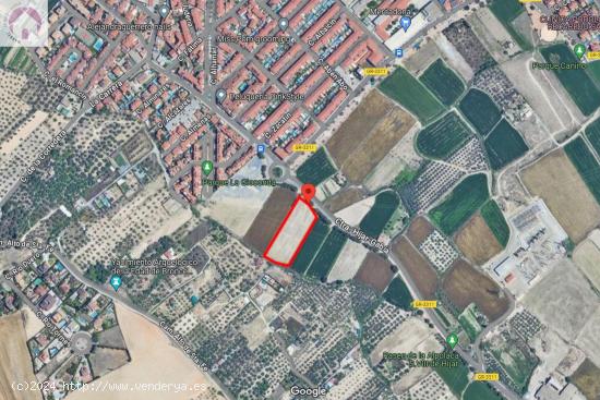  Parcela de 5000 metros junto al mercadona de Hijar - GRANADA 