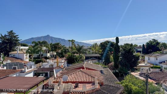 Chalet independiente corta temporada San Pedro Alcántara - MALAGA