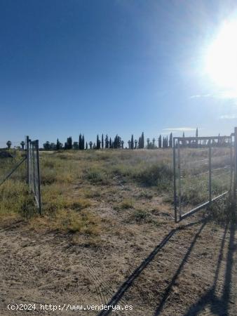 VENTA PARCELA RÚSTICA DE USO AGRARIO CARRETERA PALMA DEL RÍO - CORDOBA - CORDOBA