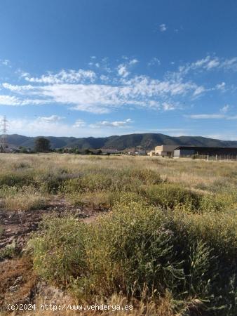 VENTA PARCELA RÚSTICA DE USO AGRARIO CARRETERA PALMA DEL RÍO - CORDOBA - CORDOBA