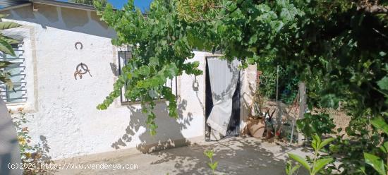 Oportunidad .Venta de parcela rústica en Deifontes,Granada.  