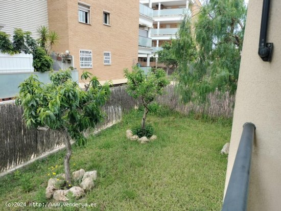 Bajos con jardin en alquiler  en Cunit - Tarragona