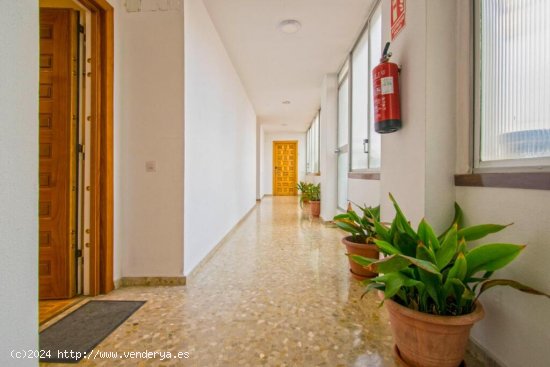 Apartamento en Venta en Sevilla Sevilla