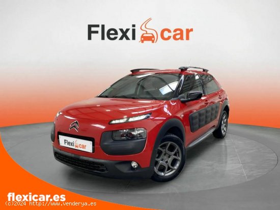 Citroën C4 Cactus BlueHDi 100 Feel Cool - León