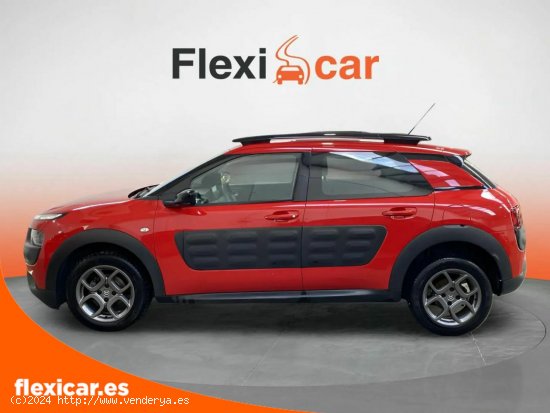 Citroën C4 Cactus BlueHDi 100 Feel Cool - León