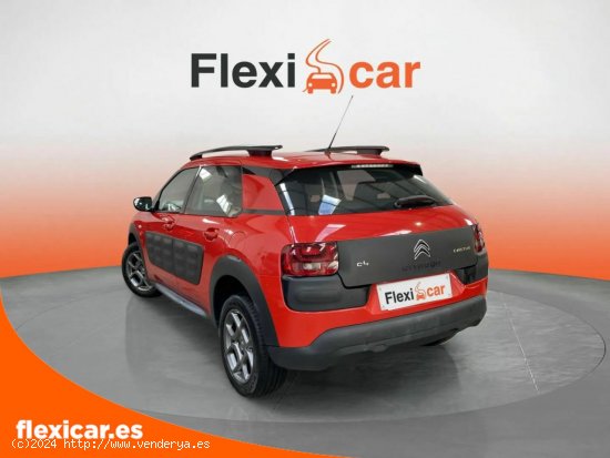 Citroën C4 Cactus BlueHDi 100 Feel Cool - León