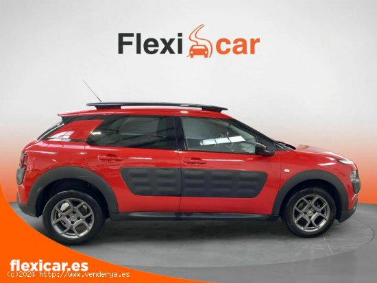 Citroën C4 Cactus BlueHDi 100 Feel Cool - León