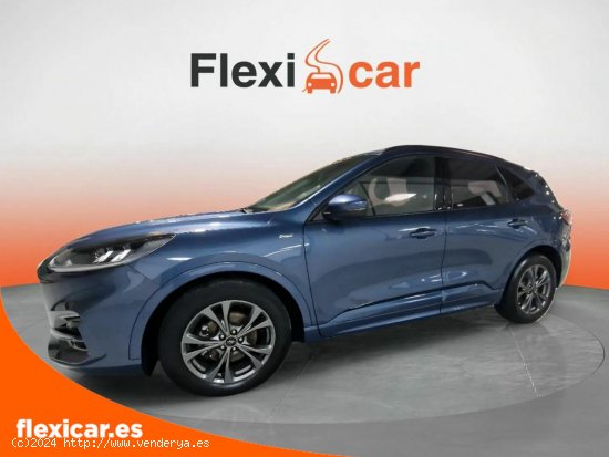 Ford Kuga ST-Line 1.5 EcoBlue 88kW (120CV) - Gijón