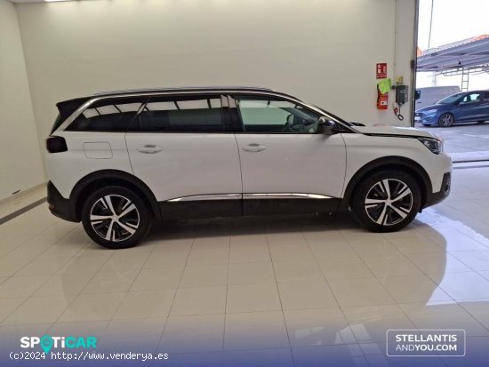 Peugeot 5008   BlueHDi 96kW (130CV) S&S EAT8 Allure - Ourense