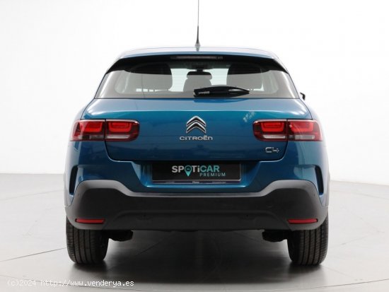 Citroën C4 Cactus BlueHDi 100 S&S Feel - Sabadell