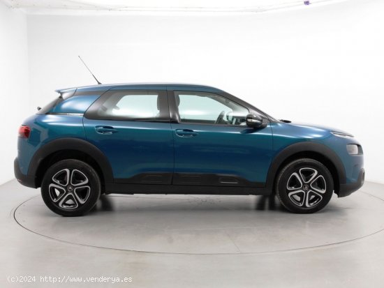 Citroën C4 Cactus BlueHDi 100 S&S Feel - Sabadell