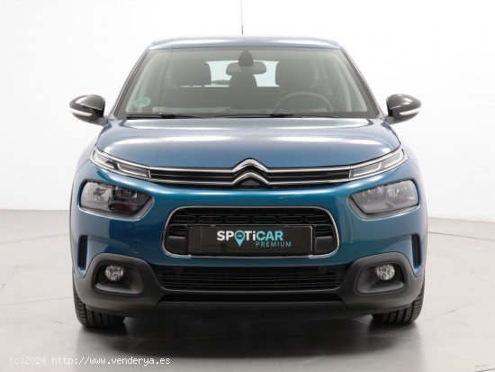 Citroën C4 Cactus BlueHDi 100 S&S Feel - Sabadell