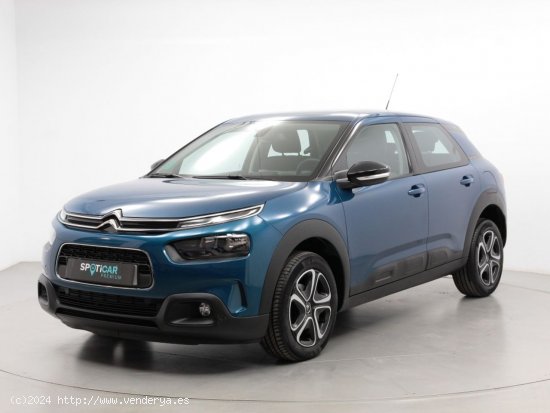 Citroën C4 Cactus BlueHDi 100 S&S Feel - Sabadell