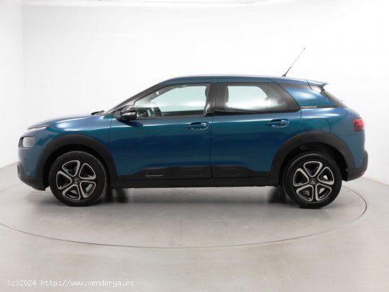 Citroën C4 Cactus BlueHDi 100 S&S Feel - Sabadell