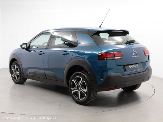 Citroën C4 Cactus BlueHDi 100 S&S Feel - Sabadell