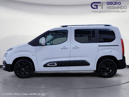 Citroën Berlingo TALLA M FEEL HDI 100 CV - Ponteareas