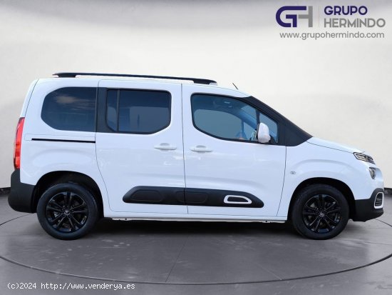 Citroën Berlingo TALLA M FEEL HDI 100 CV - Ponteareas