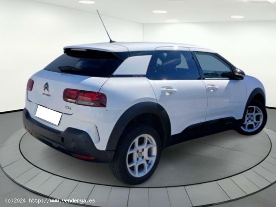 Citroën C4 Cactus FEEL 1.5 BLUE HDI 100 CV MT6 E6DT - LEGANES