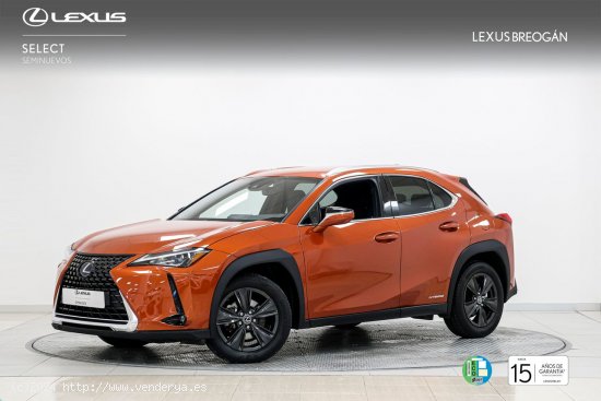 Lexus UX 250H 2WD BUSINESS - A Coruña