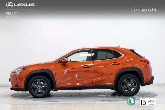 Lexus UX 250H 2WD BUSINESS - A Coruña