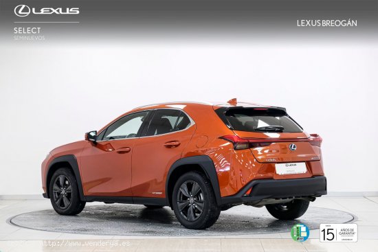 Lexus UX 250H 2WD BUSINESS - A Coruña