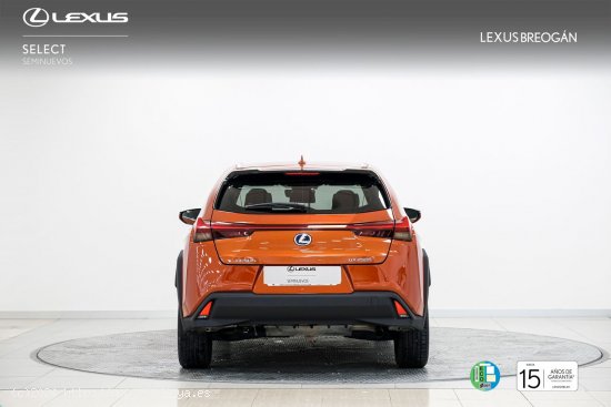 Lexus UX 250H 2WD BUSINESS - A Coruña